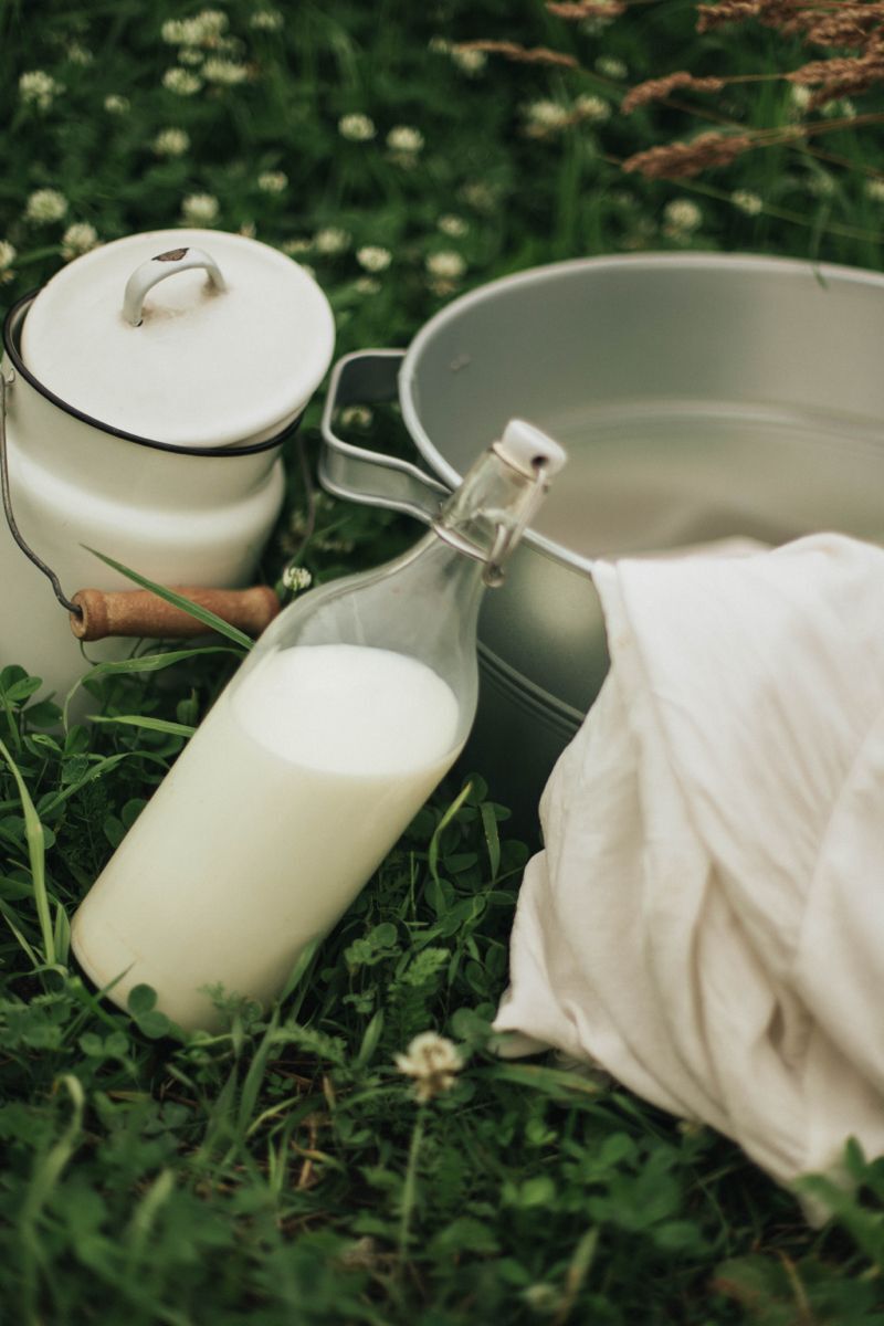 Doğal Keçi Sütü 1 Litre